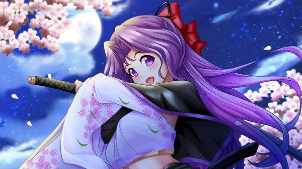 战国公主 与女武将一起统一天下_2
