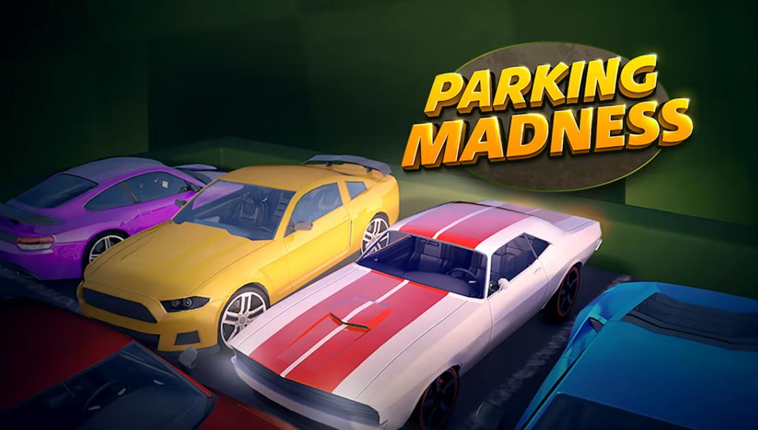 疯狂停车 parking frenzy storm_0