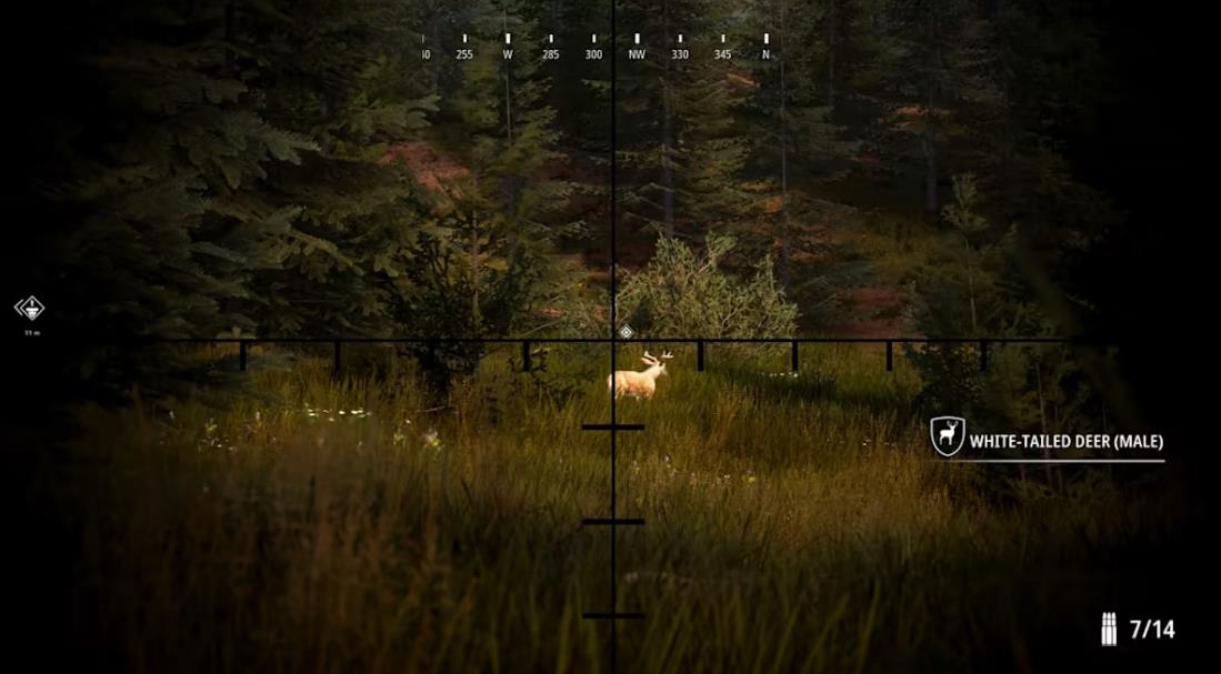 模拟狩猎2 Hunting Simulator_5