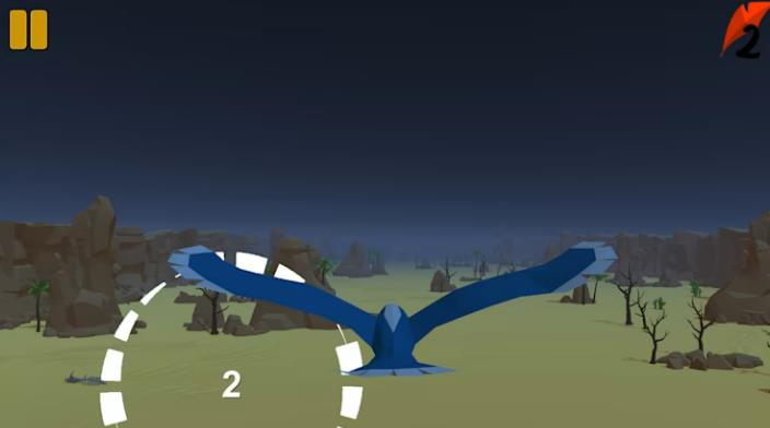 Fly The Bird_3
