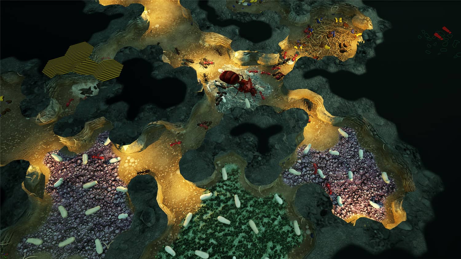 地下蚁国 Empires of the Undergrowth_0