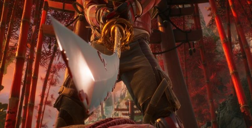 影子武士3 Shadow Warrior 3_0