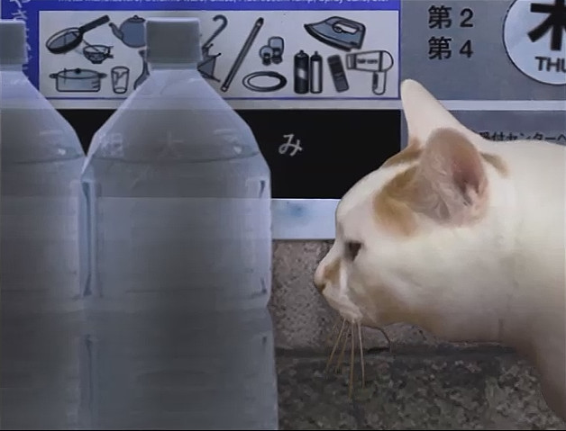 翌日 Tsugunohi_2