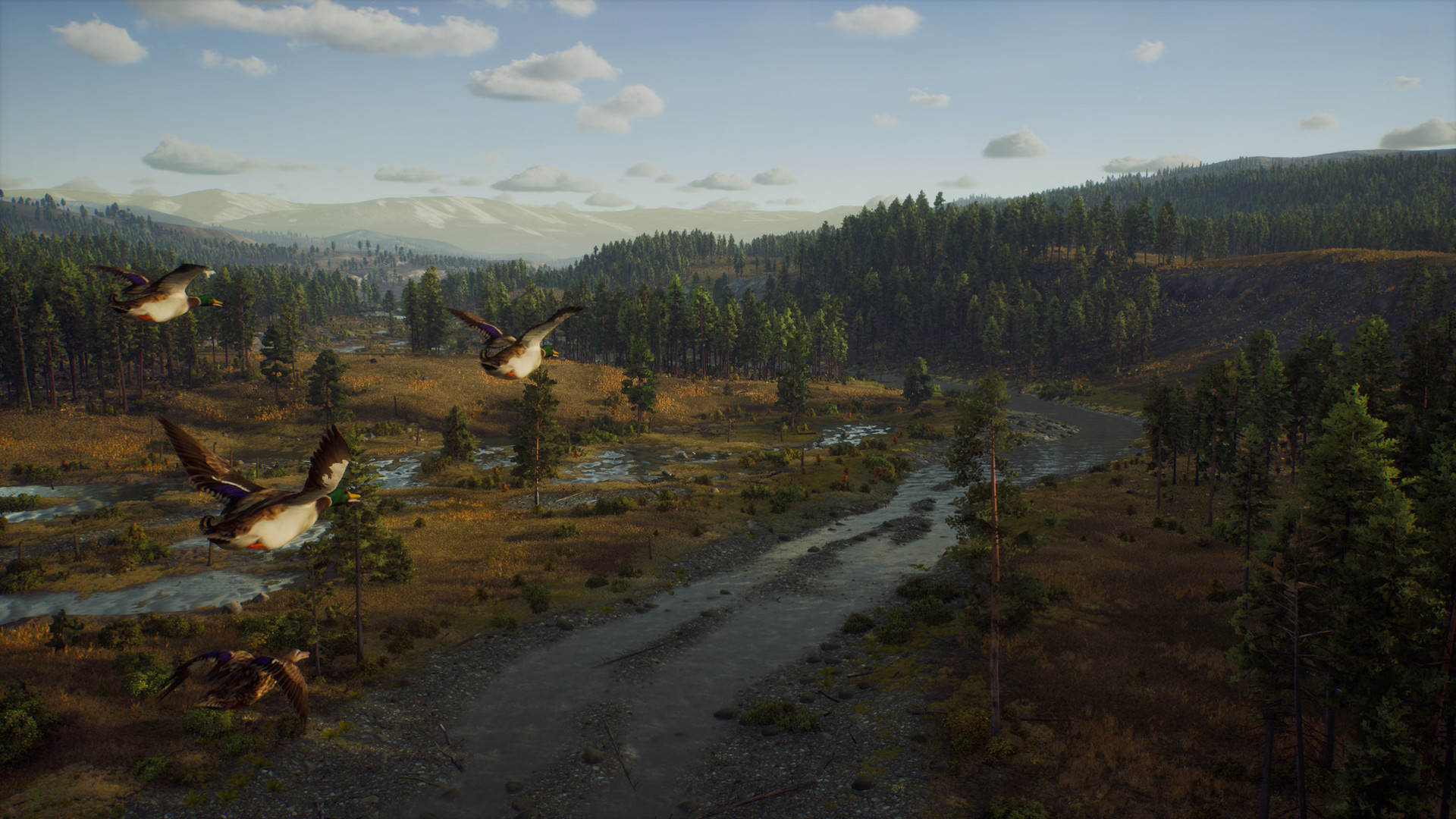 猎人之路 精英版 Way of the Hunter: Elite Edition_2
