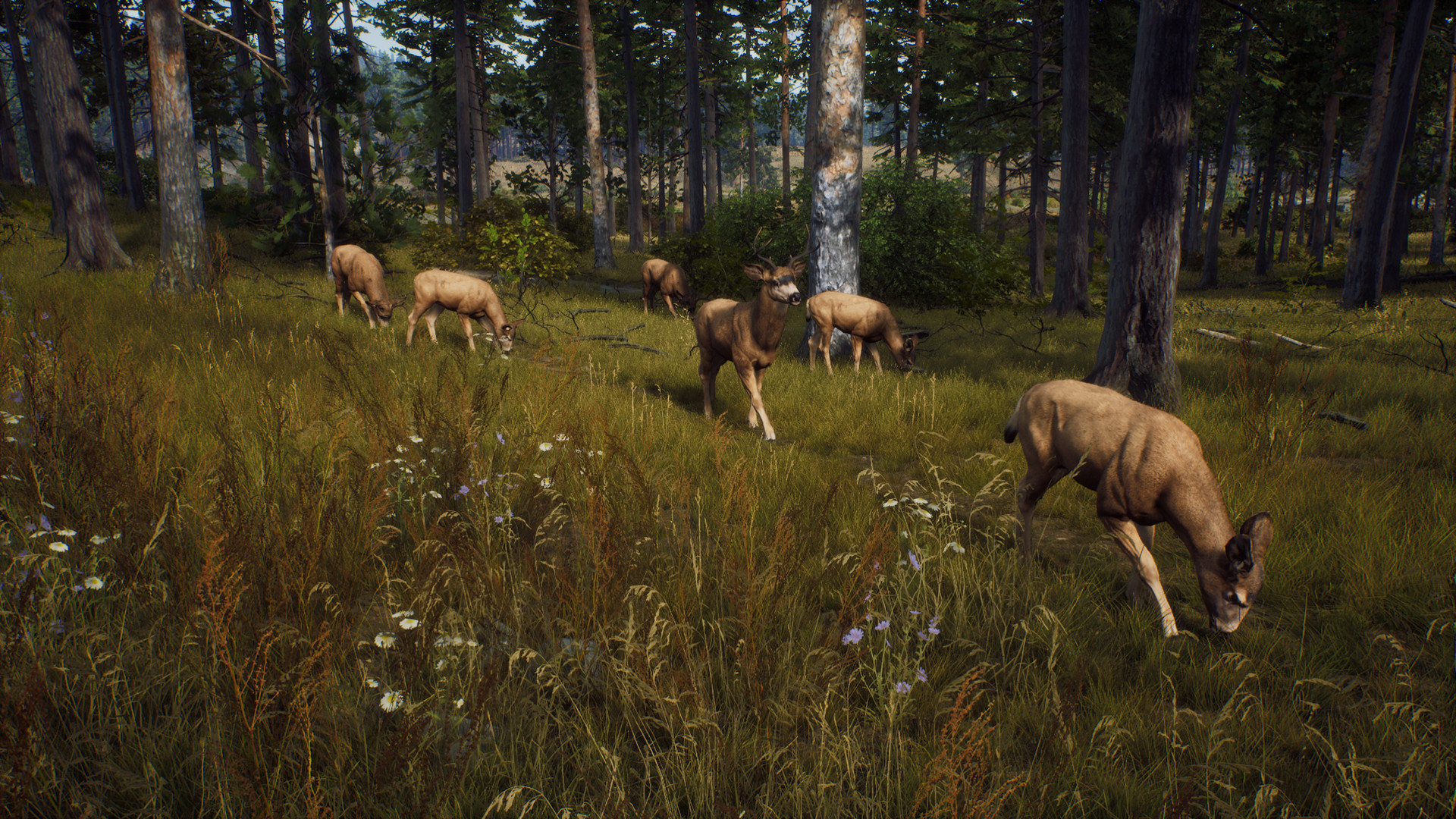 猎人之路 精英版 Way of the Hunter: Elite Edition_0