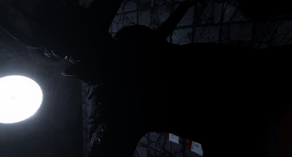 哀伤疯人院（Sorrow Asylum）_0