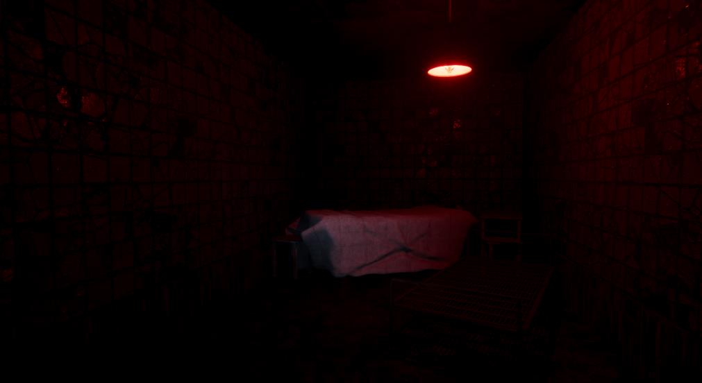 哀伤疯人院（Sorrow Asylum）_2