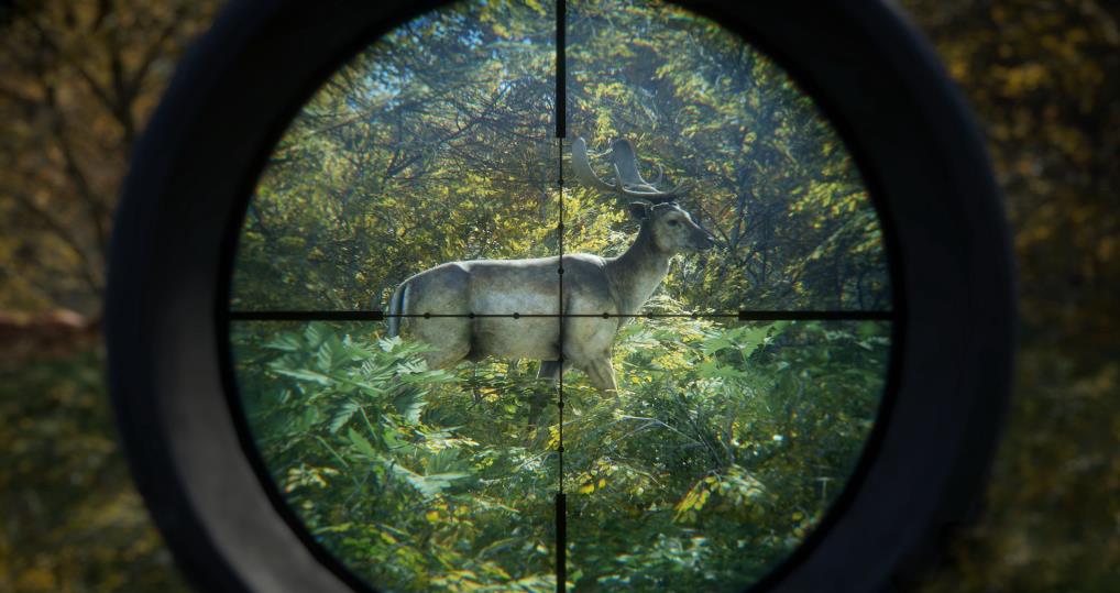 猎人：荒野的呼唤（theHunter: Call of the Wild）_1