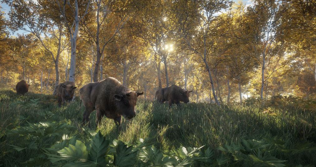 猎人：荒野的呼唤（theHunter: Call of the Wild）_0