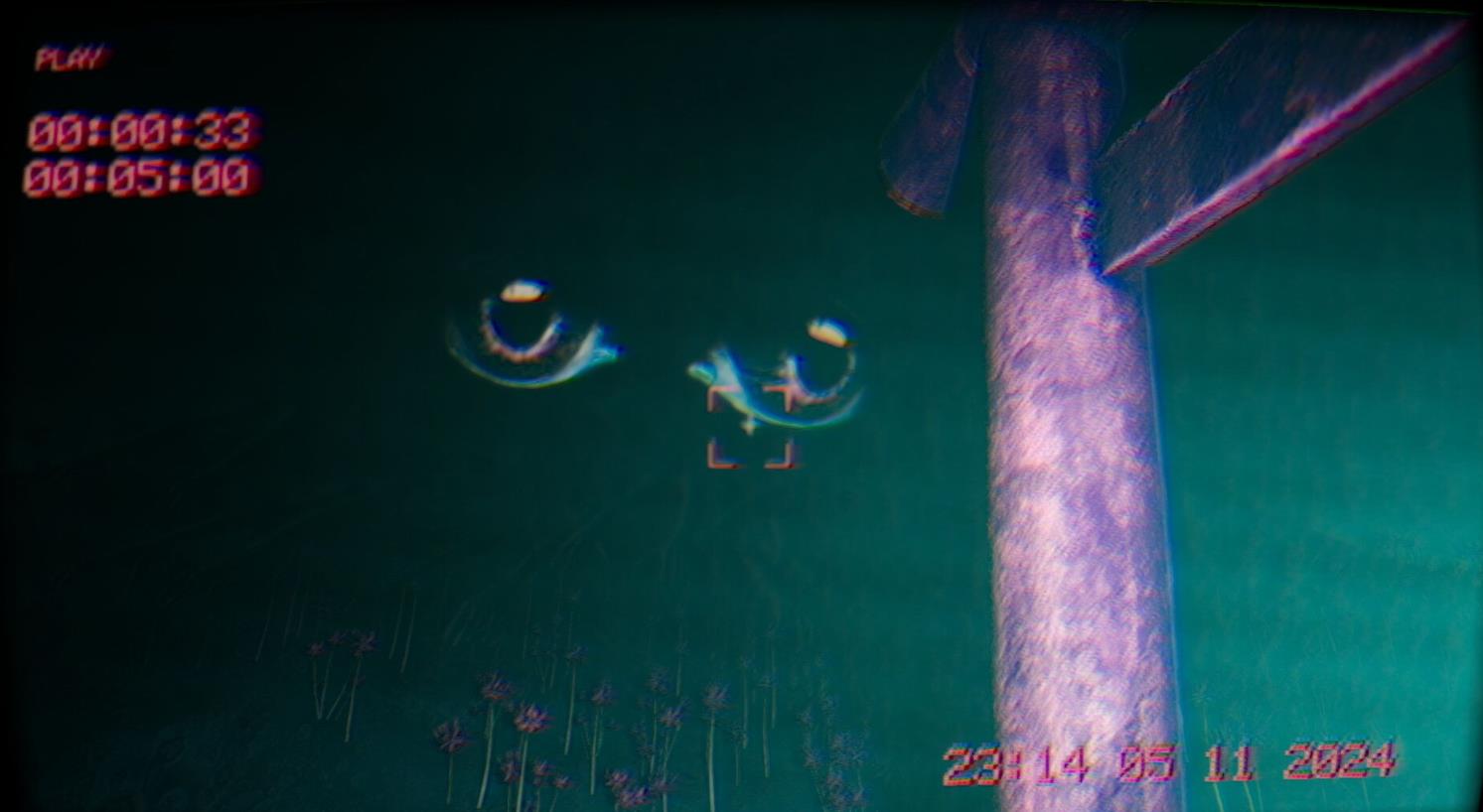 在录像中（In the footage）_0