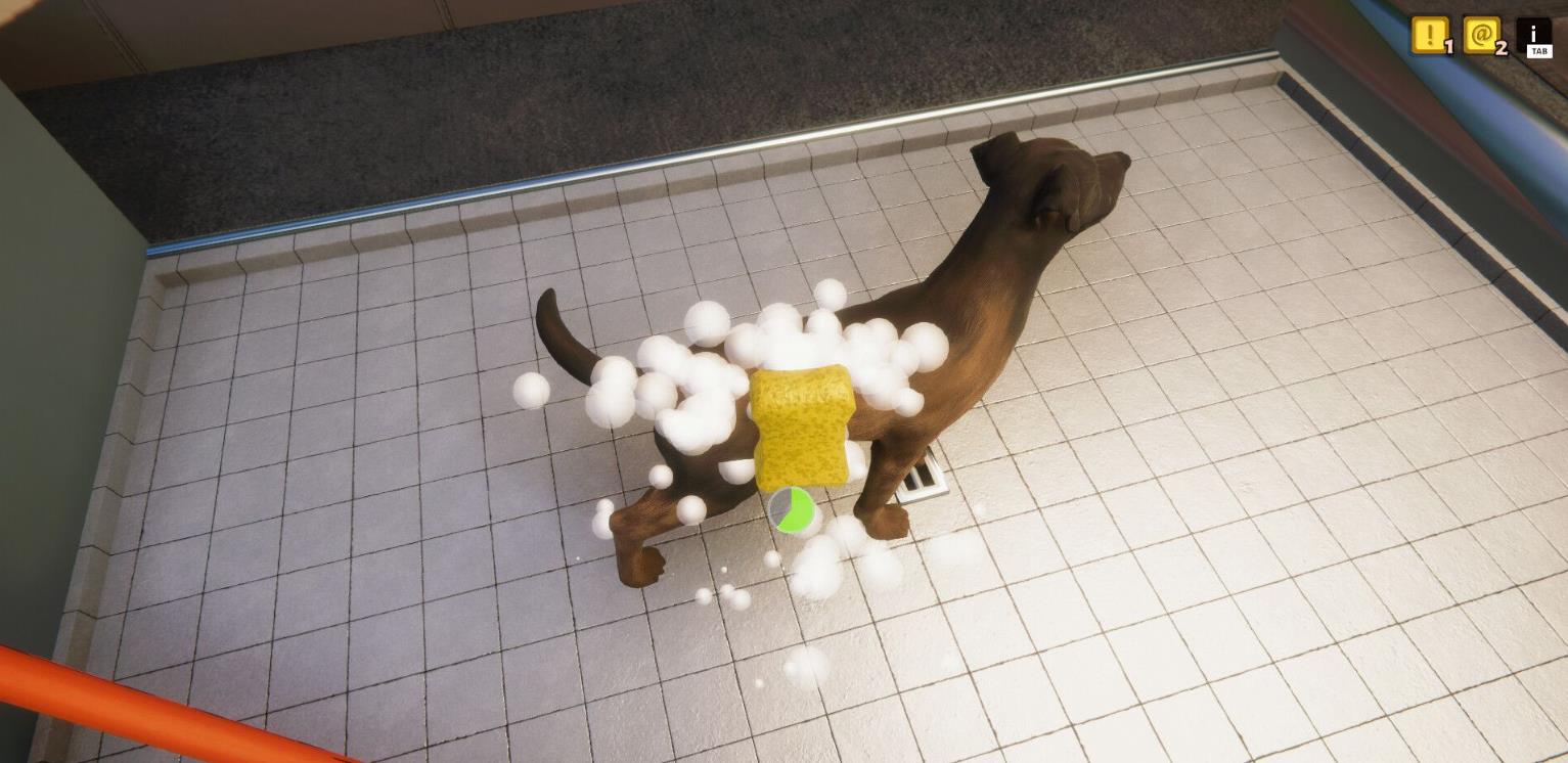 动物收容所（Animal Shelter）_0