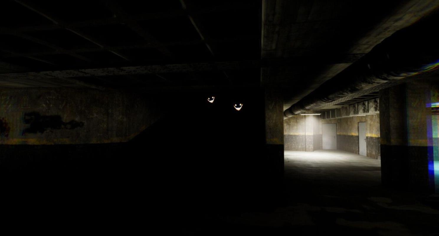 进入密室（Into The Backrooms）_1