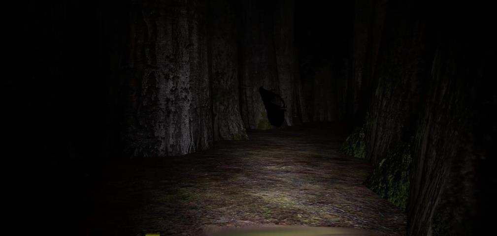 迷宫：迷失在黎明前（Labyrinthian: Lost 'Til Dawn）_1