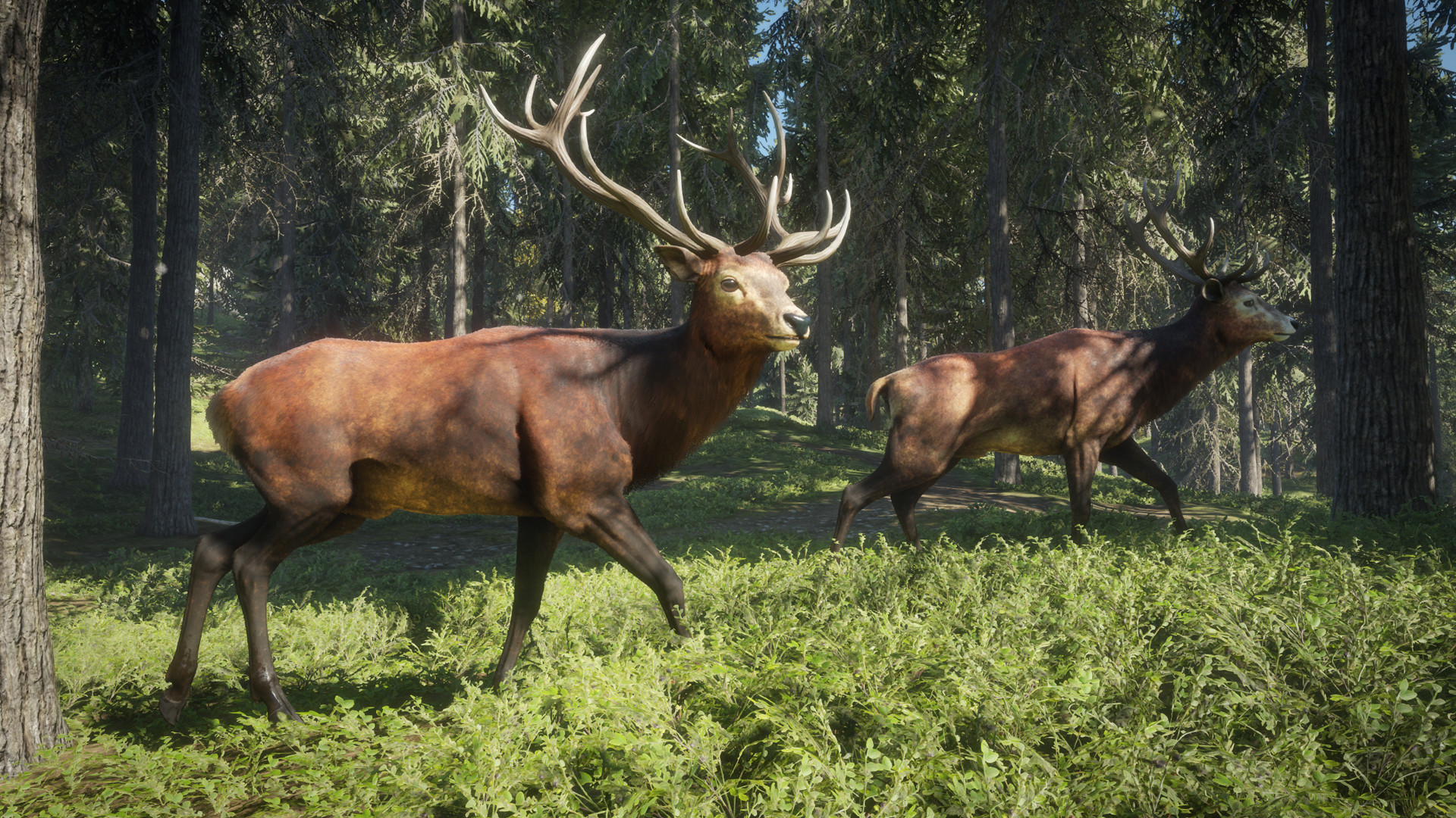 猎人：野性的呼唤 theHunter: Call of the Wild_1