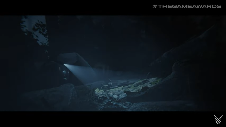 森林之子 Sons Of The Forest_0