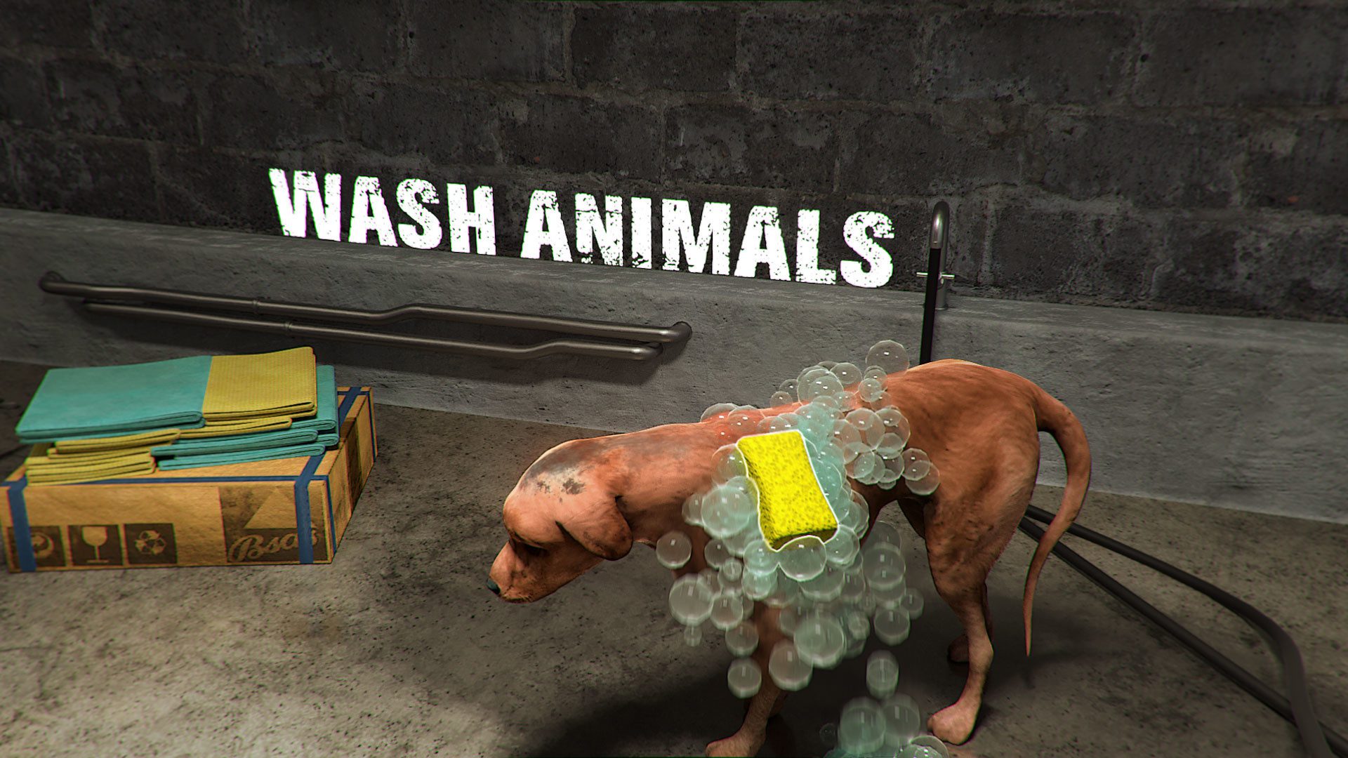 动物收容所 Animal Shelter_1