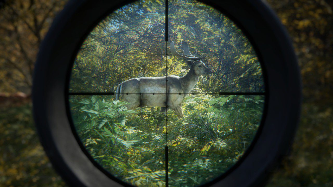 猎人：野性的呼唤 the Hunter: Call of the Wild_0