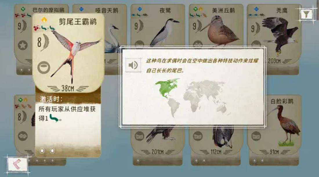 展翅翱翔 Wingspan_1