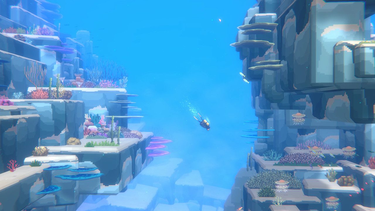 潜水员戴夫 DAVE THE DIVER_2