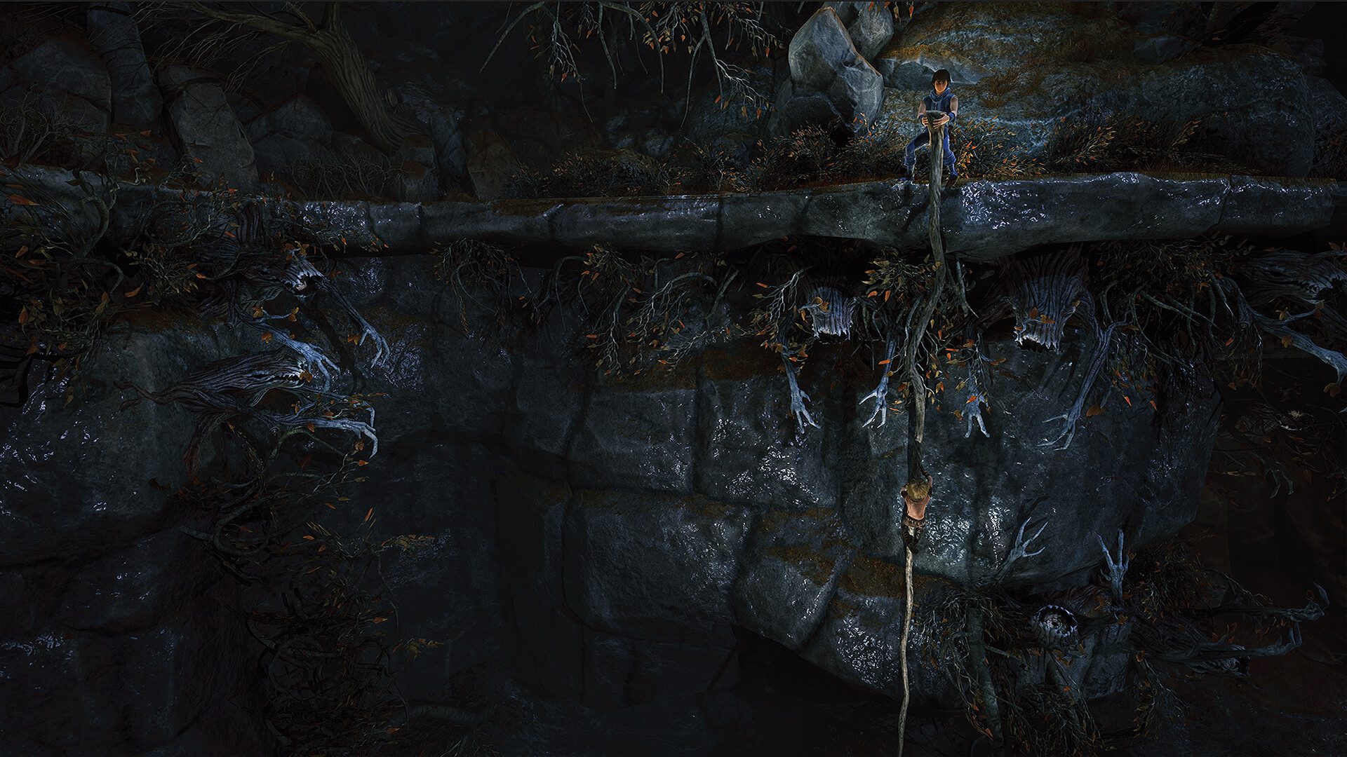 兄弟：双子传说重制版 Brothers: A Tale of Two Sons Remake_0