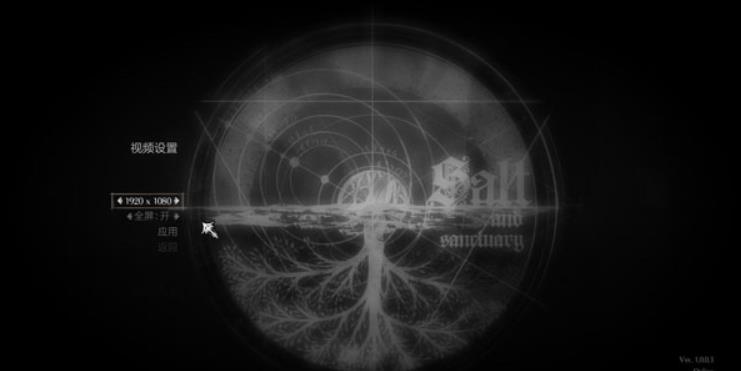 盐和避难所.Salt and Sanctuary_0