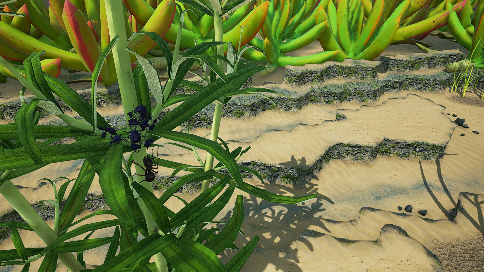 地下蚁国 Empires of the Undergrowth_2