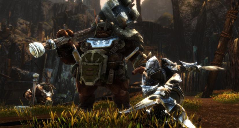 阿玛拉王国：惩罚.Kingdoms of Amalur: Re-Reckoning_1