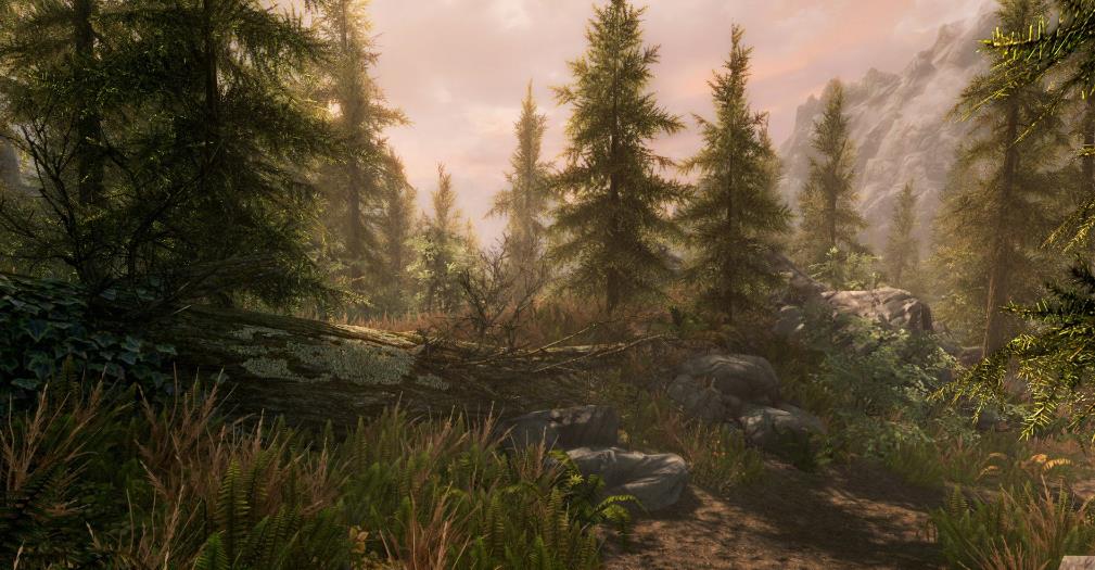 上古卷轴5：天际 – 十周年纪念版.The Elder Scrolls V: Skyrim Anniversary Edition_0