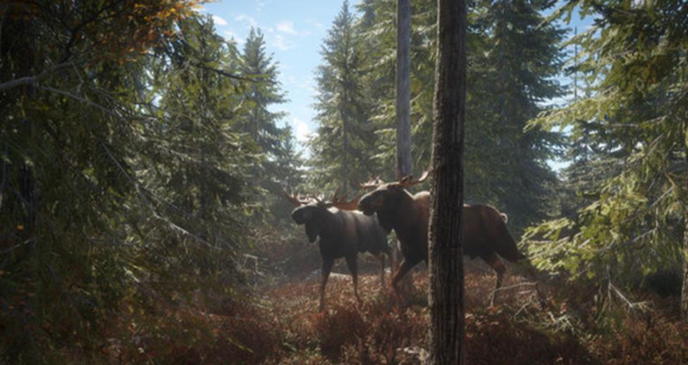猎人：荒野的召唤 – 完整版.theHunter: Call of the Wild Complete Collection_0