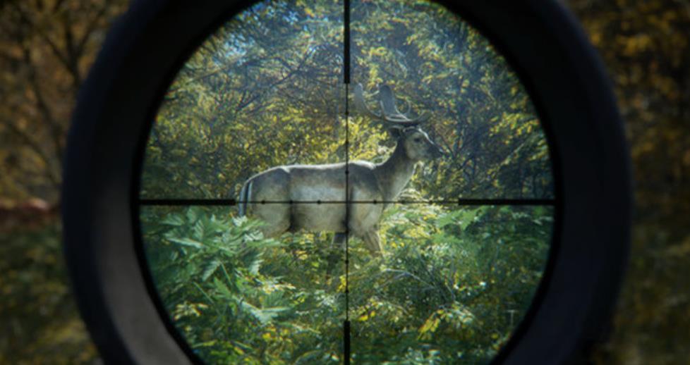猎人：荒野的召唤 – 完整版.theHunter: Call of the Wild Complete Collection_2