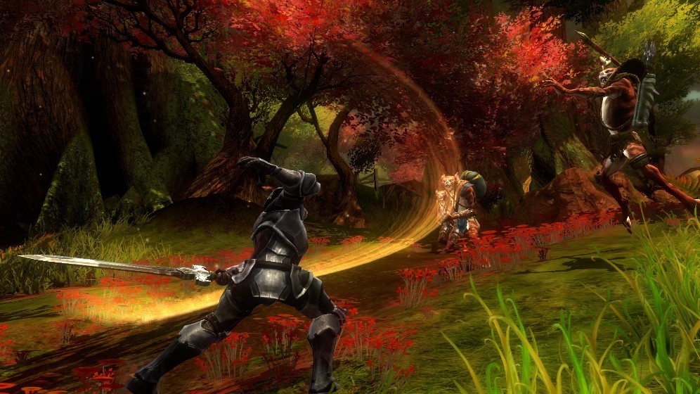 阿玛拉王国：惩罚 – 命运版.Kingdoms of Amalur: Re-Reckoning FATE Edition_1