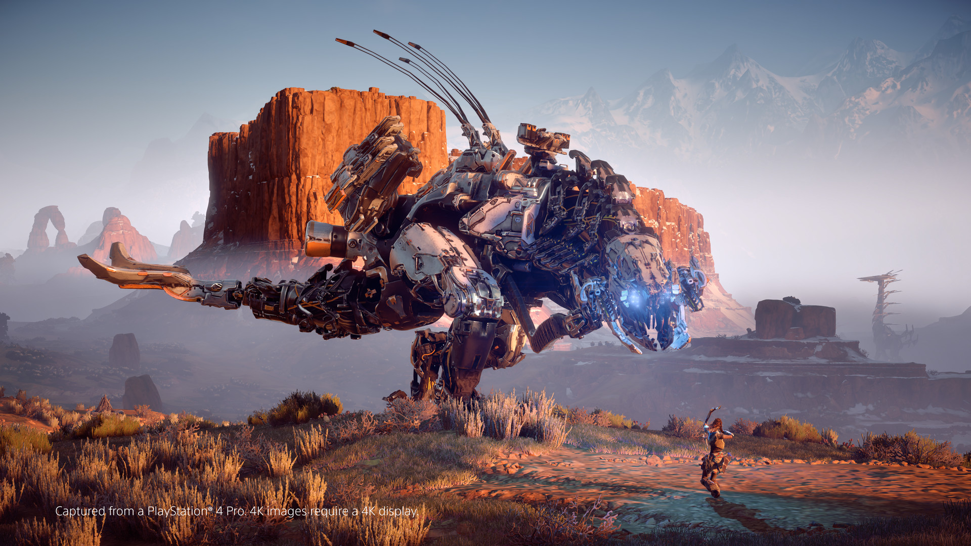 地平线：零之曙光 重制版 Horizon Zero Dawn™ Complete Edition_2