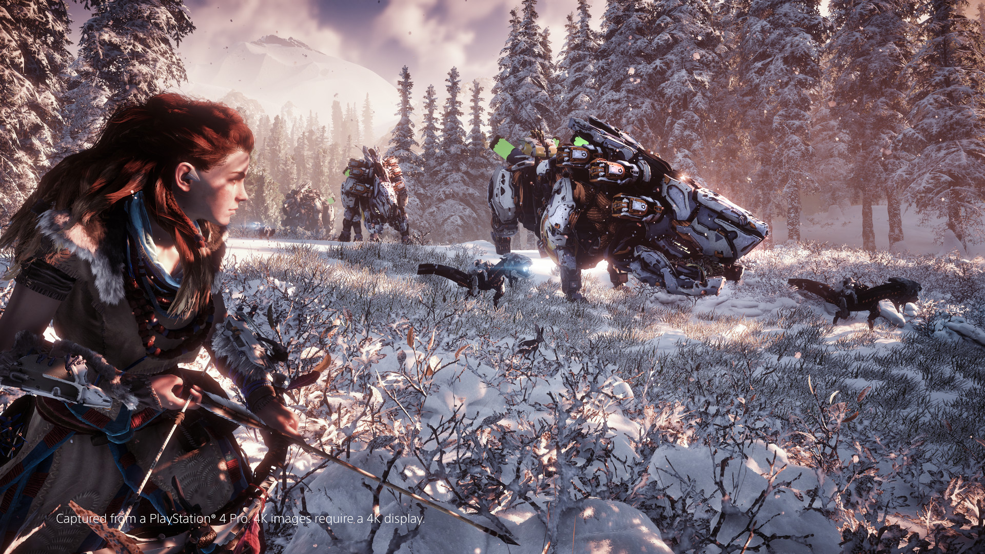 地平线：零之曙光 重制版 Horizon Zero Dawn™ Complete Edition_1