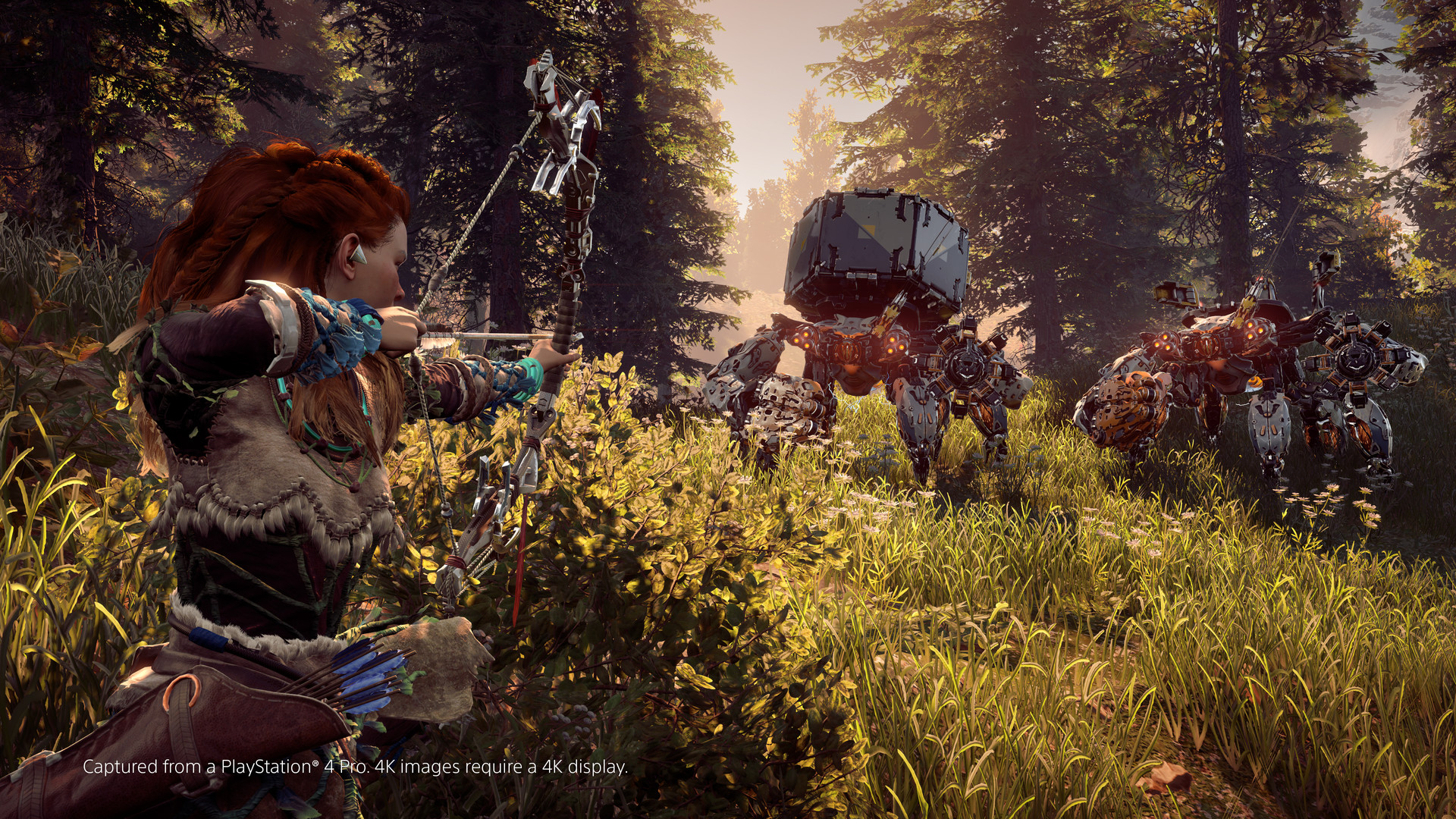 地平线：零之曙光 重制版 Horizon Zero Dawn™ Complete Edition_0