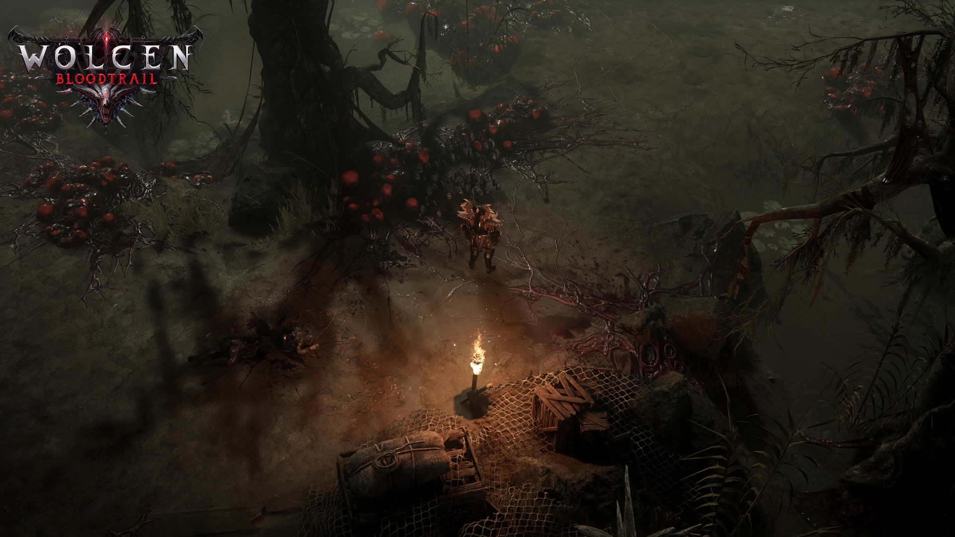 破坏领主 Wolcen: Lords of Mayhem_0