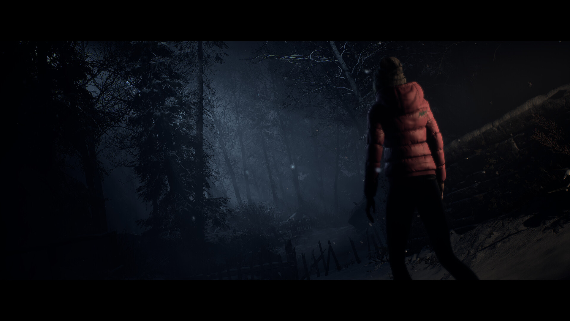 直到黎明：重制版 Until Dawn_1