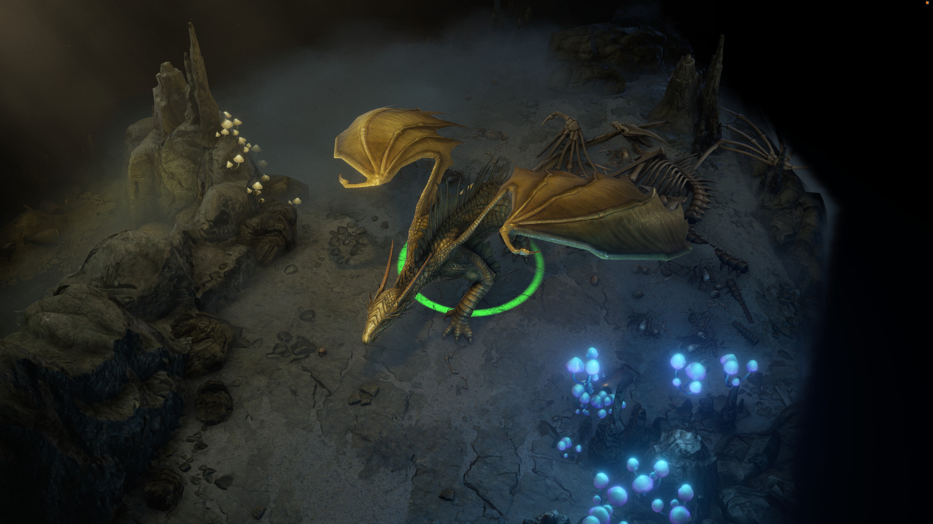 开拓者：正义之怒 Pathfinder: Wrath of the Righteous_2