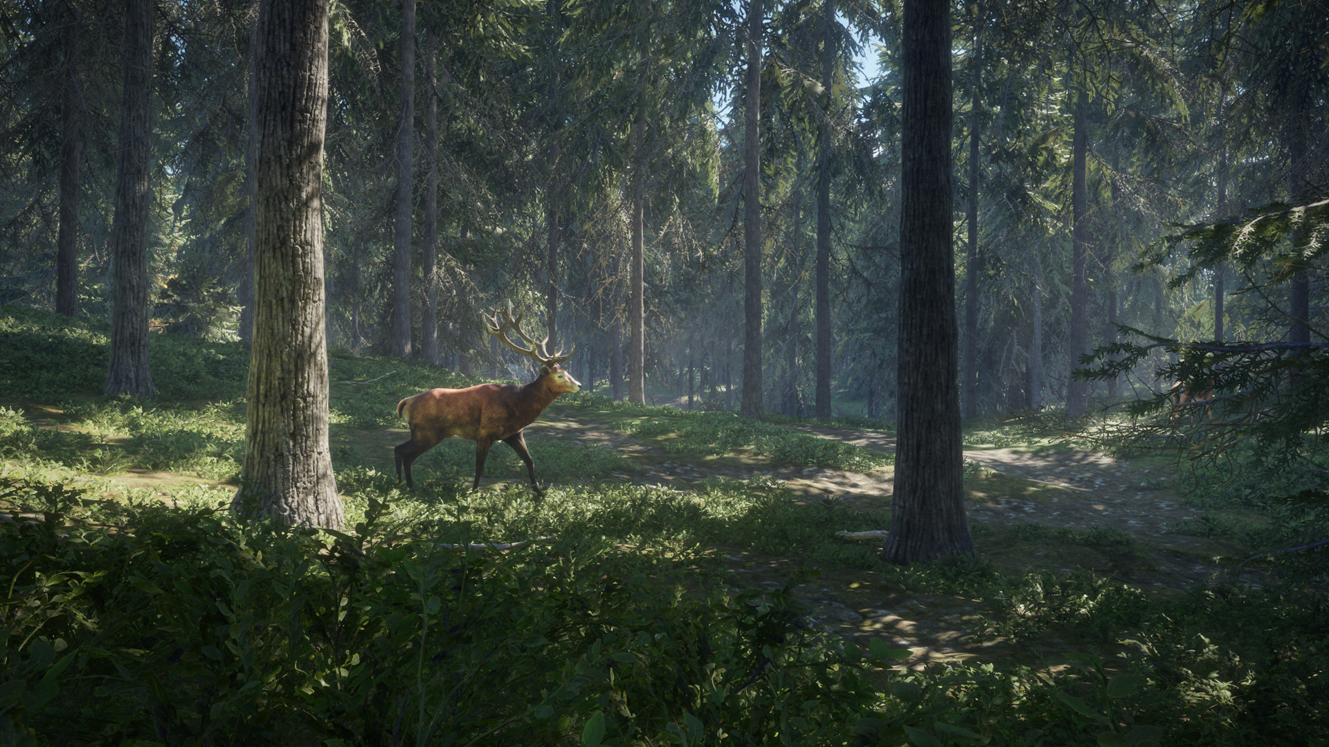 猎人：野性的呼唤 theHunter: Call of the Wild_1