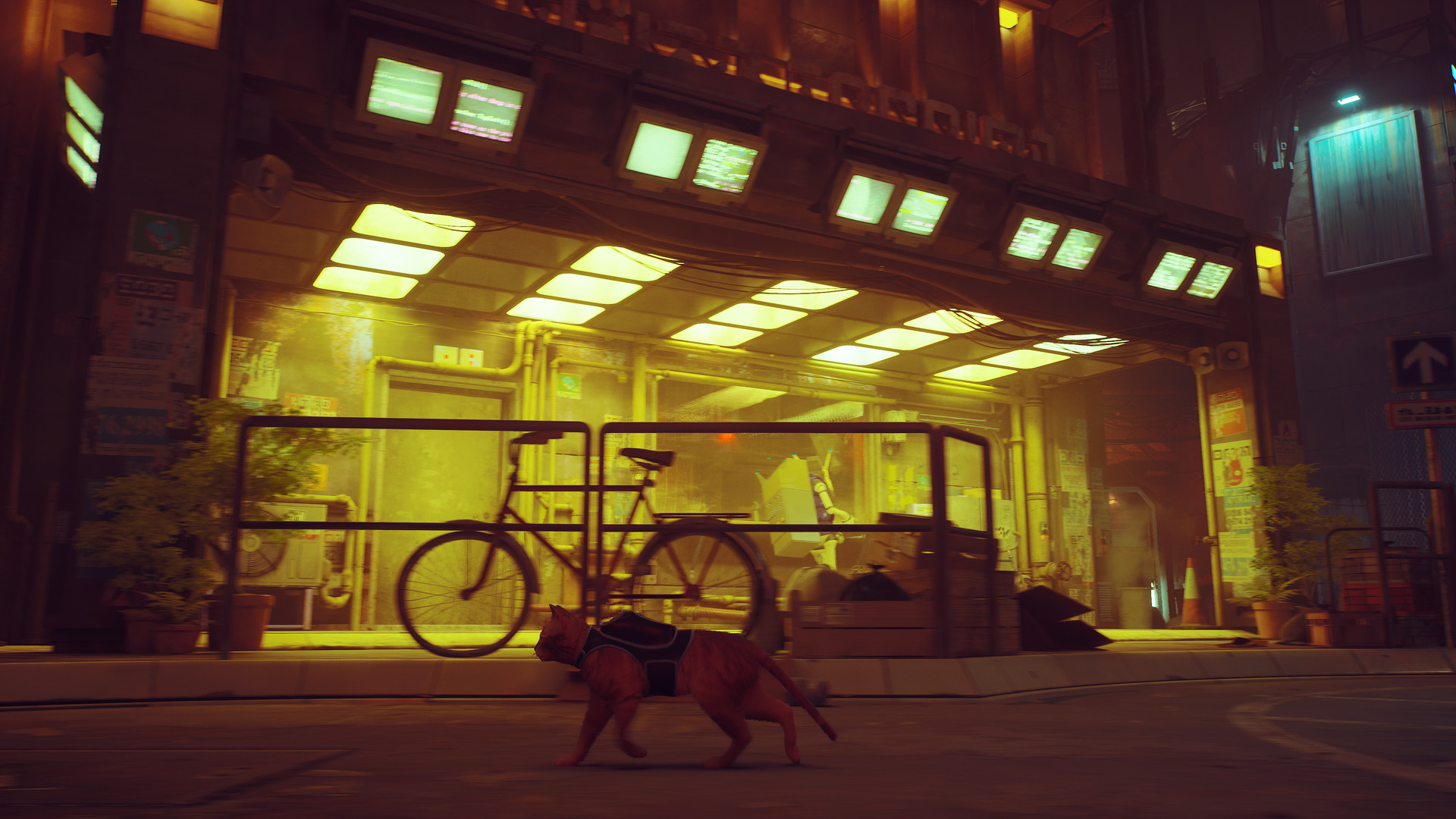 《迷失猫 Stray》美中+1.60补丁整合版_0