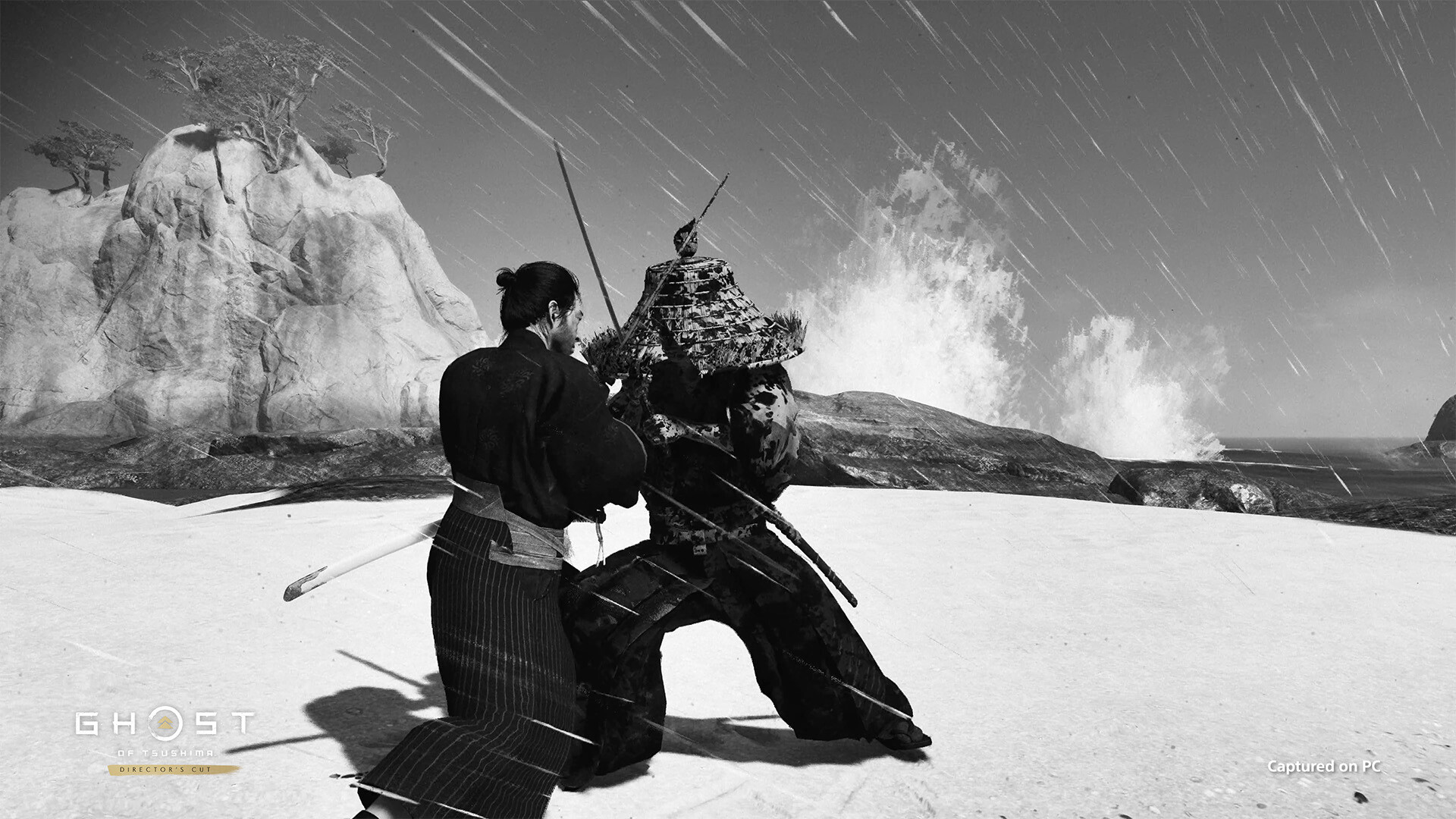 对马岛之魂 Ghost of Tsushima: Directors Cut_0