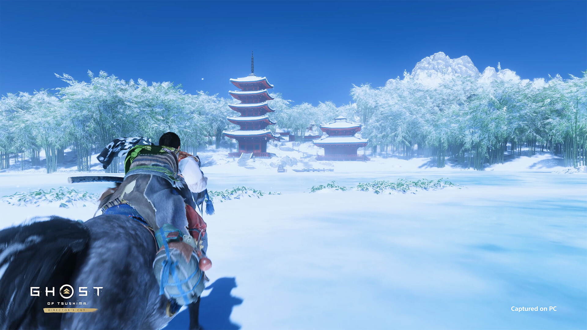 对马岛之魂 Ghost of Tsushima: Directors Cut_1