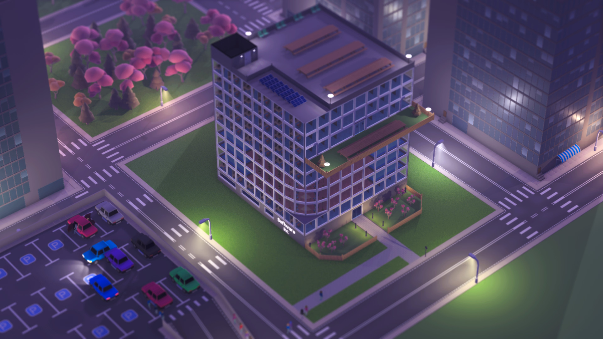 软件公司 Software Inc._2