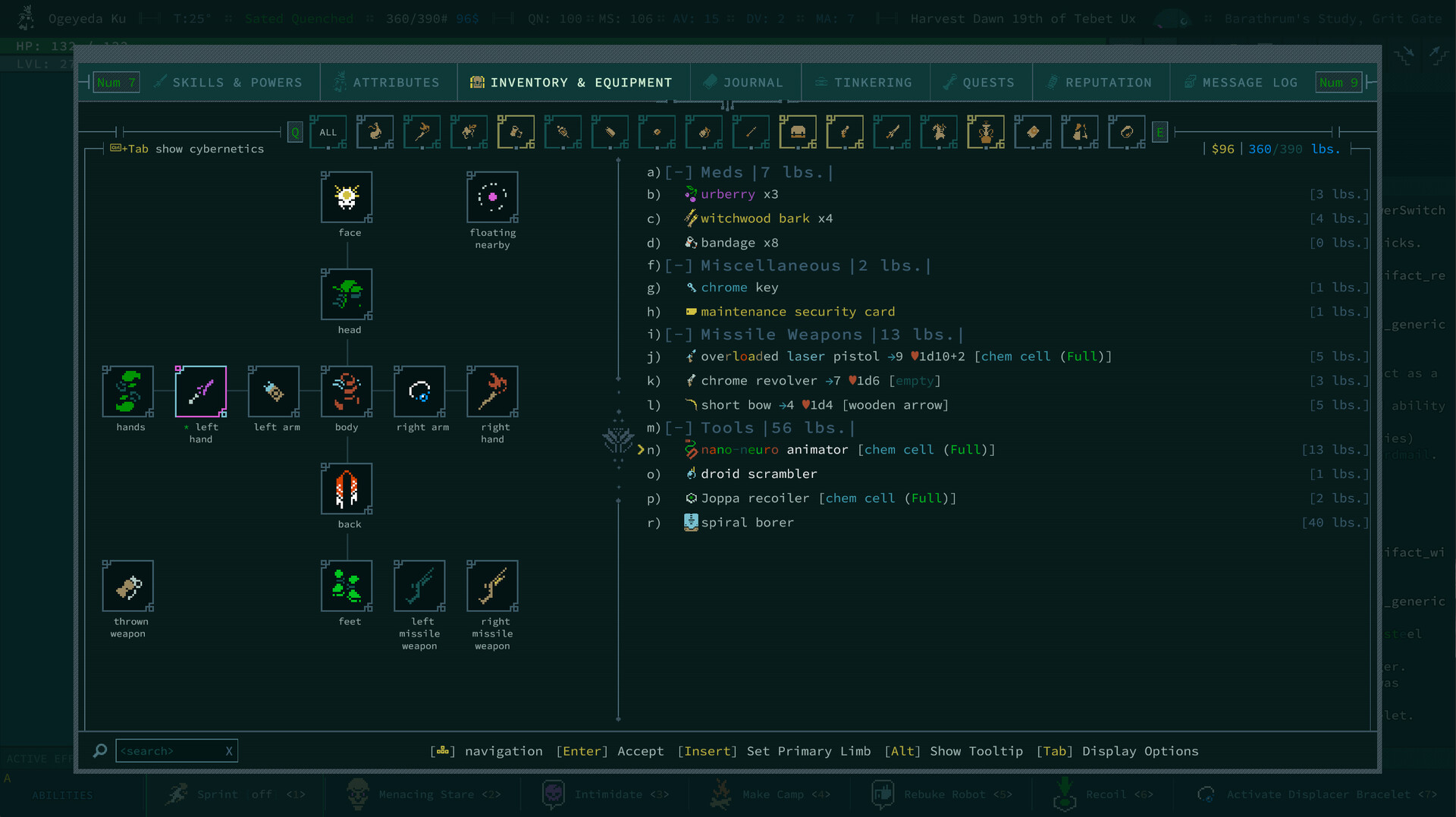 卡德洞窟 Caves of Qud_2