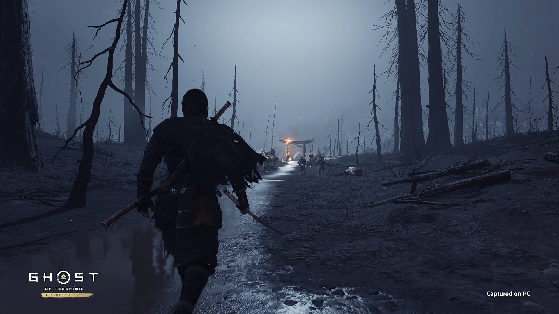对马岛之魂 Ghost of Tsushima: Directors Cut_2