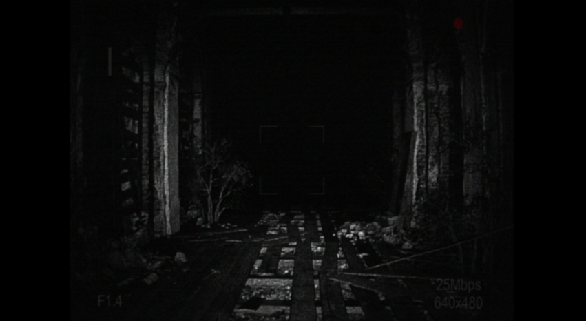 [录制] 荒芜 [REC] Desolation_0