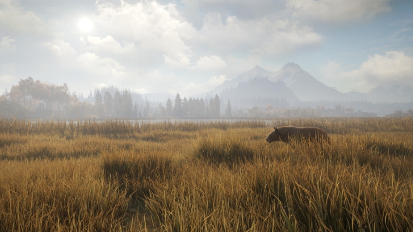 猎人：荒野的召唤 theHunter: Call of the Wild_0