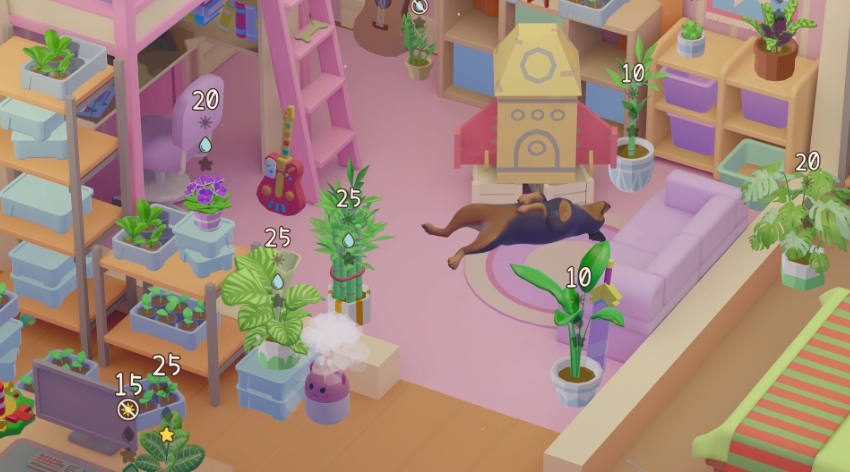 我的小绿屋 Urban Jungle_0
