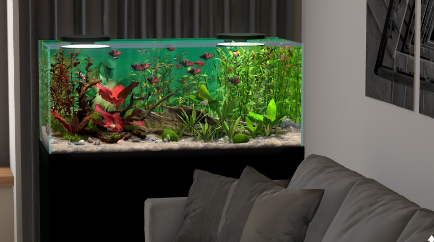 玻璃背后：水族馆模拟器 Behind Glass: Aquarium Simulator_0