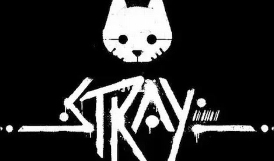 流浪猫.Stray_0