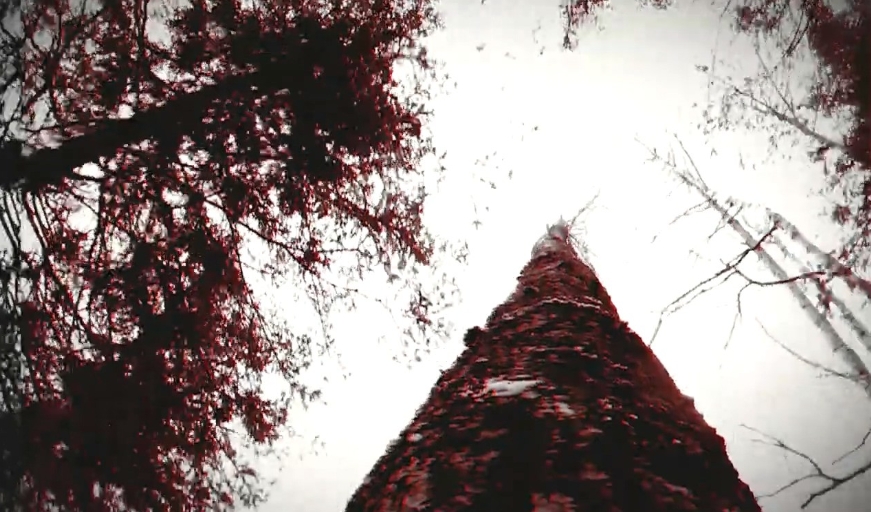 狼人之末日怒吼：地灵之血.Werewolf: The Apocalypse – Earthblood_0